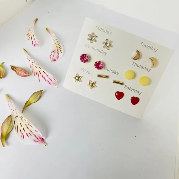 Home v3 35 Earring Set