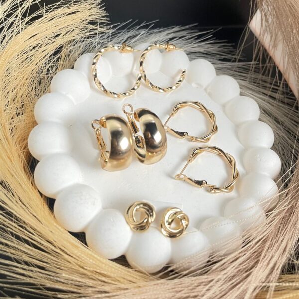 Home v3 266 Bold Blend Earrings Set for Women