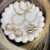 Luxe Looks Earrings set for Women