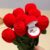 Elegant Red Rose Engagement Ring Box – Romantic Proposal Gift with Golden Accents